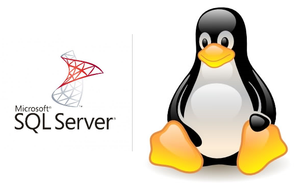 Canonical anuncia a prévia pública do Microsoft SQL Server para Linux