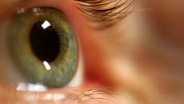 Sistema poderá recuperar a visão de vitimas de doenças (Foto: Reprodução/Veja)