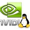 Como instalar a última versão do driver Nvidia no Linux