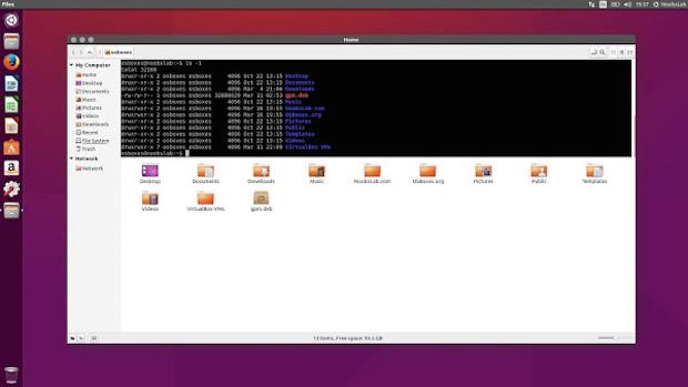 Instale o gerenciador de arquivos Nemo com extensões no Ubuntu