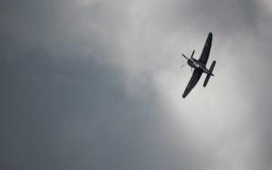 04-Sea_Fury_by_Ian_Worrall