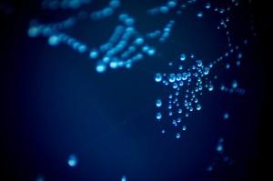 11-Water_web_by_Tom_Kijas