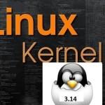 kernel-3.14