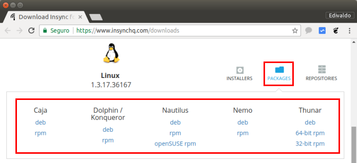 Instale e experimente o cliente Google Drive Insync no Linux