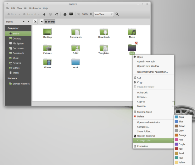 linuxmint171cajafoldercolor