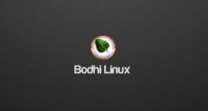 Bodhi Linux 3.1.0