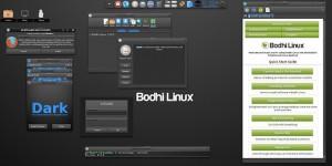 Bodhi Linux 3.1.1