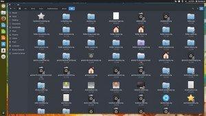 Instalando o conjunto de ícones MyElementary no Ubuntu