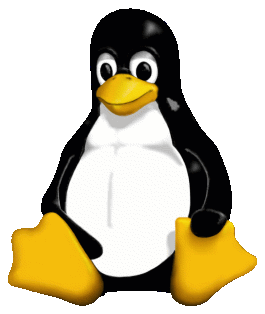 Aniversário do Linux - Comemore os 32 anos do sistema