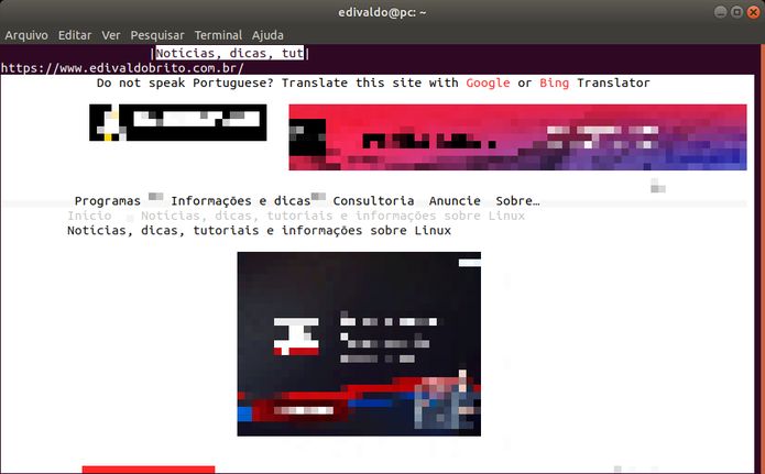 Como instalar o navegador baseado em texto Browsh no Linux