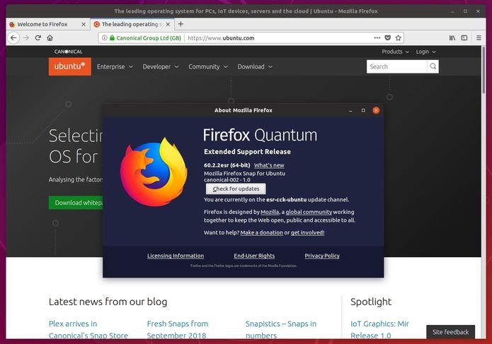 Como instalar o navegador Firefox ESR no Linux via Snap