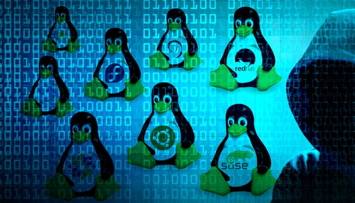 Encontradas duas Vulnerabilidades DoS no kernel Linux, sem correção