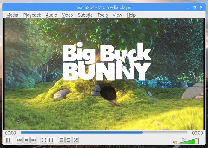 Raspbian 2018-11-13 lançado com VLC - Confira as novidades e baixe