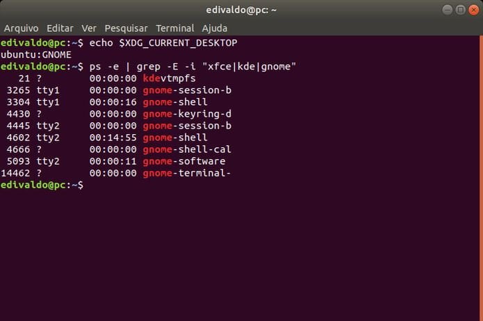 Como detectar o ambiente gráfico do Linux usando o terminal