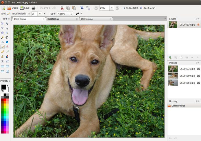 Como instalar o editor de imagens Pinta no Linux via Flatpak
