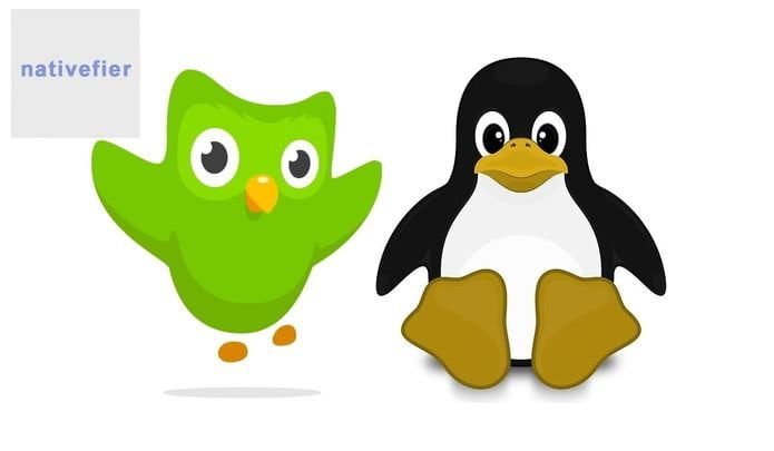 Como instalar o app de aprendizado de idiomas Duolingo no Linux