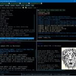 Como instalar o incrível editor e IDE Leo no Linux via Snap