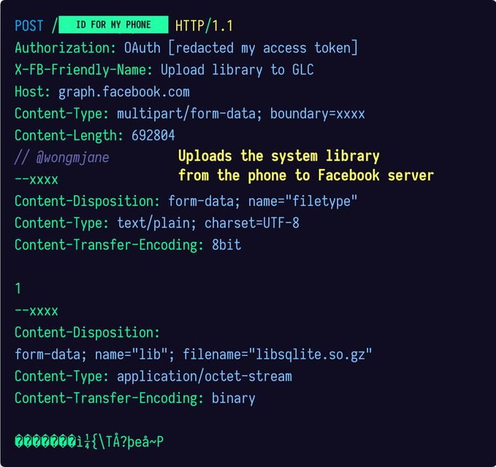 App do Facebook carrega bibliotecas do sistema sem permissão