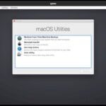 macOS em uma máquina virtual no Linux? Instale o Sosumi