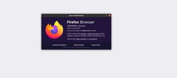 Firefox 76 promete novos recursos de segurança e Picture-in-Picture melhorado