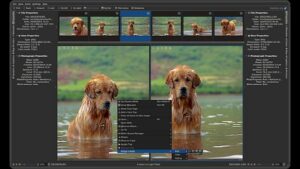 Como instalar o editor de imagens digiKam no Linux via Flatpak