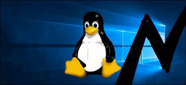 O que está empurrando cada vez mais usuários do Windows para o Linux?