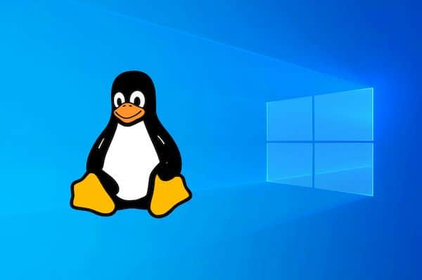 Tudo indica que mais usuários do Windows estão migrando para o Linux