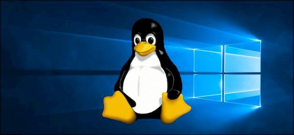 Está chegando uma correção do Windows 10 para usuários do Linux