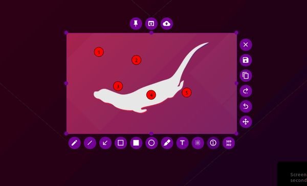 Flameshot 0.8.0 lançado com uma ferramenta de contador de círculos