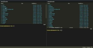 Como instalar o gerenciador de arquivos FreeMAN no Linux via Snap