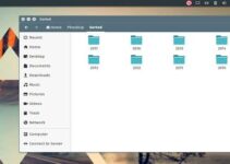 Como instalar o organizador de mídias Phockup no Linux via Snap