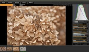 Como instalar o editor de imagens RAW no Linux via AppImage