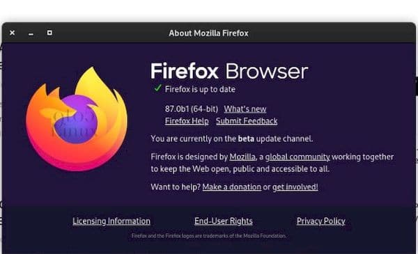 Firefox 87 entrou em beta com a tecla Backspace desativada e mais