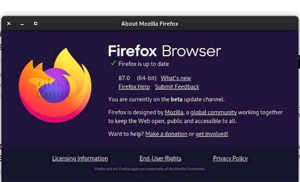 Mozilla Firefox 87 já está disponível para download