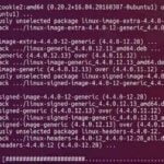 Novas atualizações do kernel do Ubuntu Linux abordam 6 vulnerabilidades