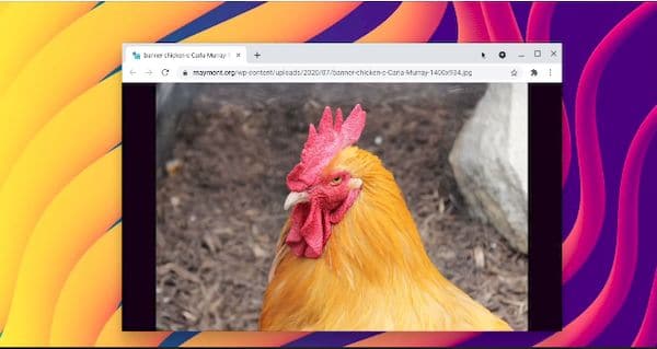 Dê um novo nome às suas janelas do Chrome