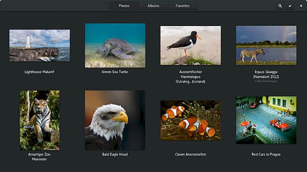 Como instalar o gerenciador de imagens Photos no Linux via Flatpak