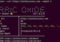 Como instalar a ferramenta para navegação forçada Feroxbuster no Linux