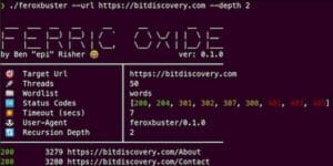 Como instalar a ferramenta para navegação forçada Feroxbuster no Linux