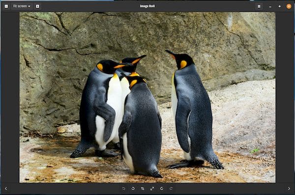 Como instalar o visualizador de imagens Image Roll no Linux via Flatpak