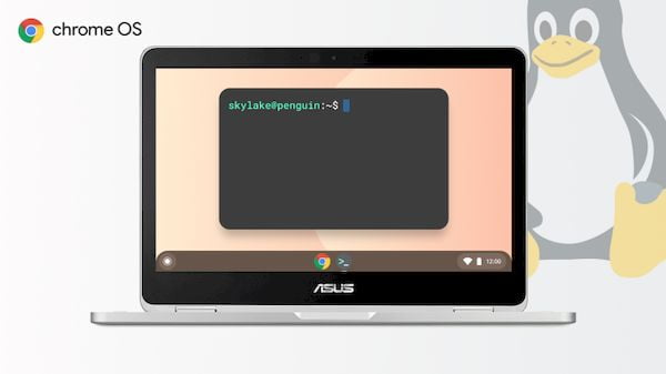 Suporte a apps Linux está finalmente chegando aos Chromebooks Skylake