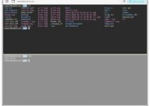 Como instalar o emulador de terminal Station no Linux via AppImage