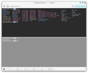 Como instalar o emulador de terminal Station no Linux via AppImage