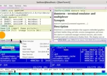 Como instalar o emulador de terminal DomTerm no Linux via AppImage