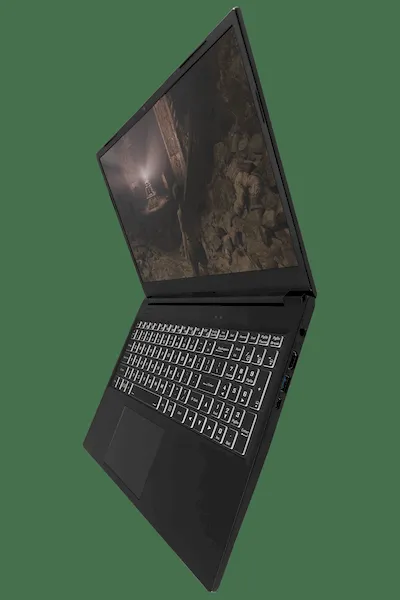 Laptop Linux Pangolin recebeu CPUs AMD Ryzen Mobile de 4ª geração