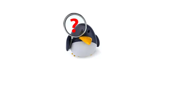 How to find out which version of Linux you are using