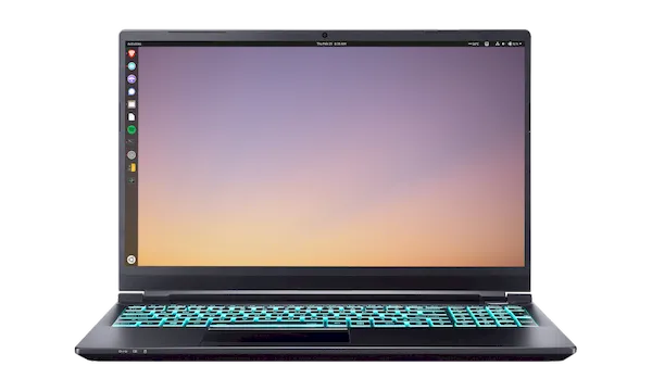 Neptune 15 v2, um laptop para jogos Linux com tela de 240 Hz