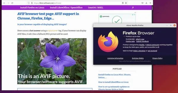Firefox 93 lançado com o suporte AVIF habilita por padrão, e mais