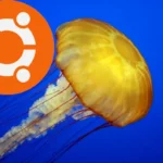 Revelado o codinome do Ubuntu 22.04 LTS: Jammy Jellyfish