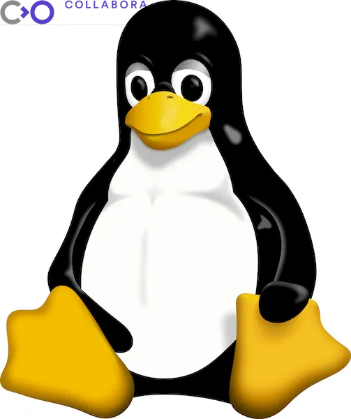 Conheça as contribuições da Collabora para o Kernel 5.15